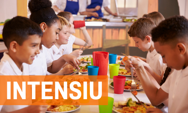 Monitor/a de menjador: Especialista en menjadors escolars