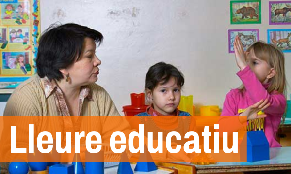 El alumnado con necesidades educativas especiales: Velador/a.