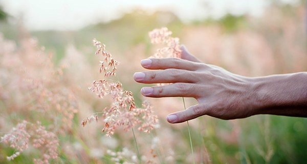 Metabolisme i equilibri nutricional