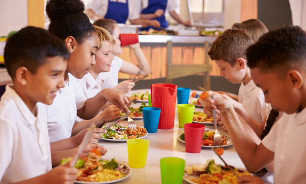 Monitor/a de menjador: Especialista en menjadors escolars