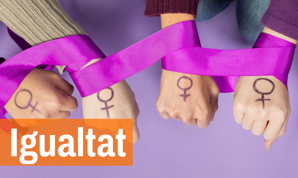 Eines d'intervenció educativa contra la violència masclista.