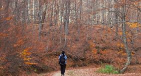 Especialització en Sostenibilitat en el lleure educatiu
